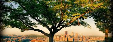 TreeWorks